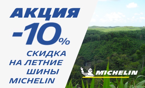  10%    Michelin